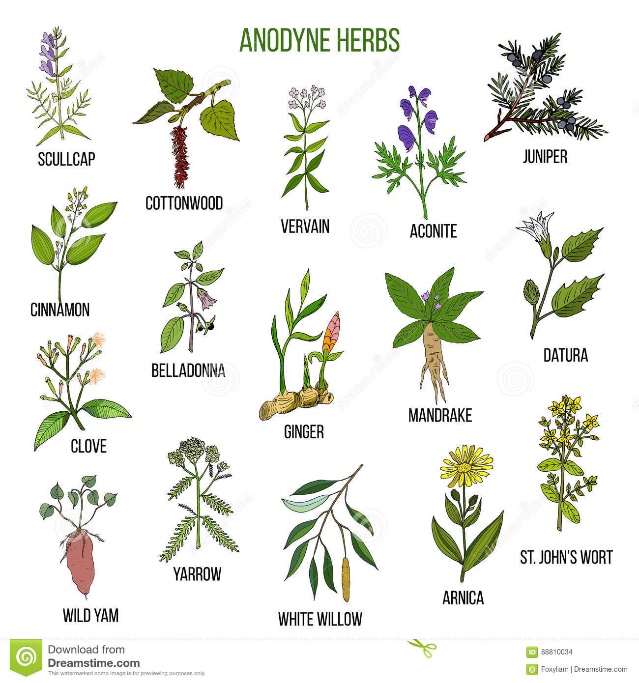 Planta2